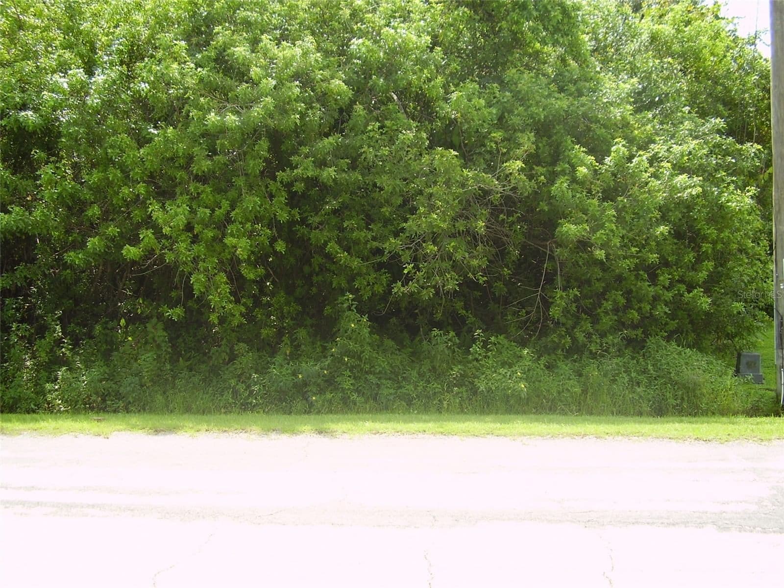 321 CAEN, Kissimmee, FL 34759 3
