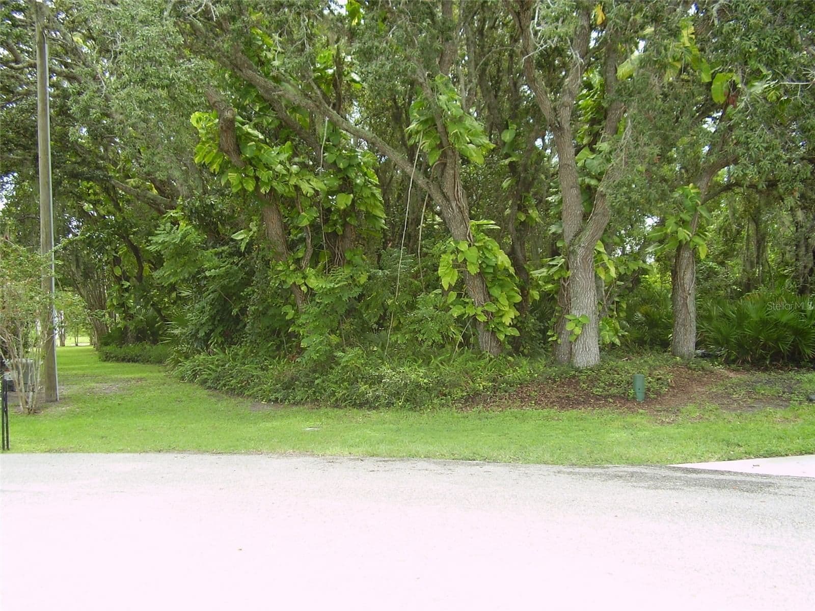 410 ANISE, Kissimmee, FL 34759 2
