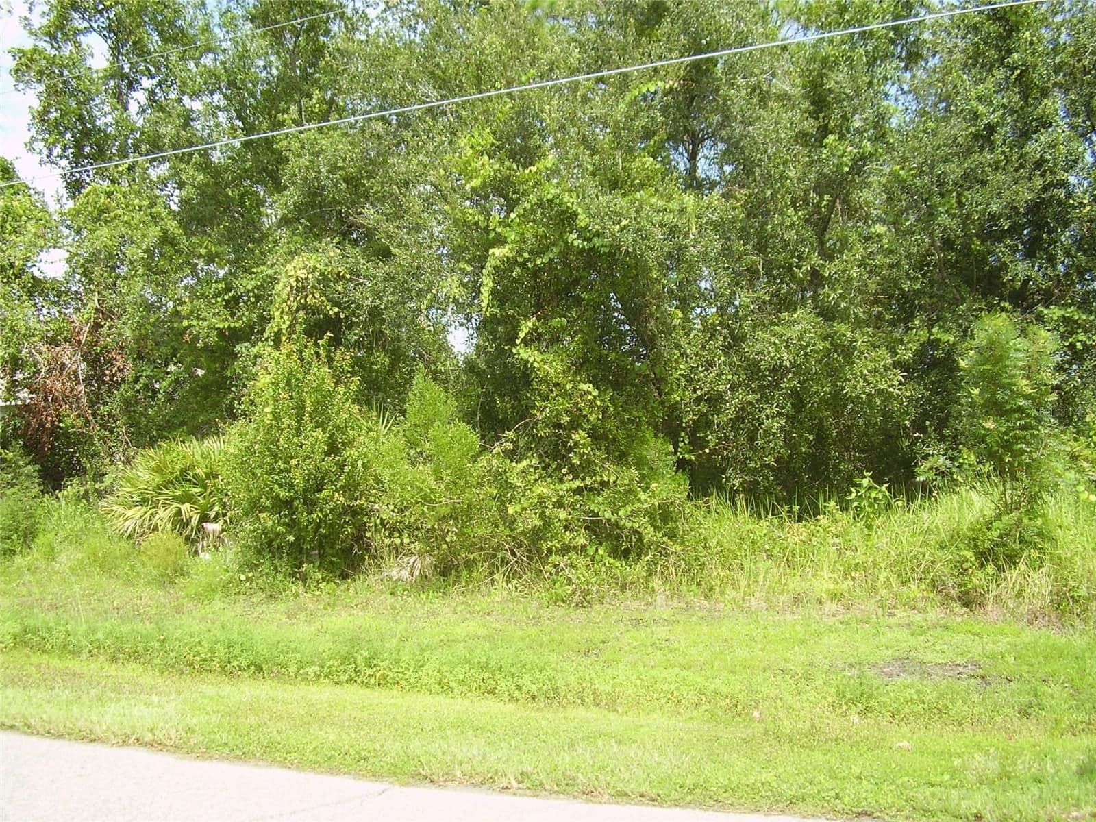 431 DOVE, Kissimmee, FL 34759 2