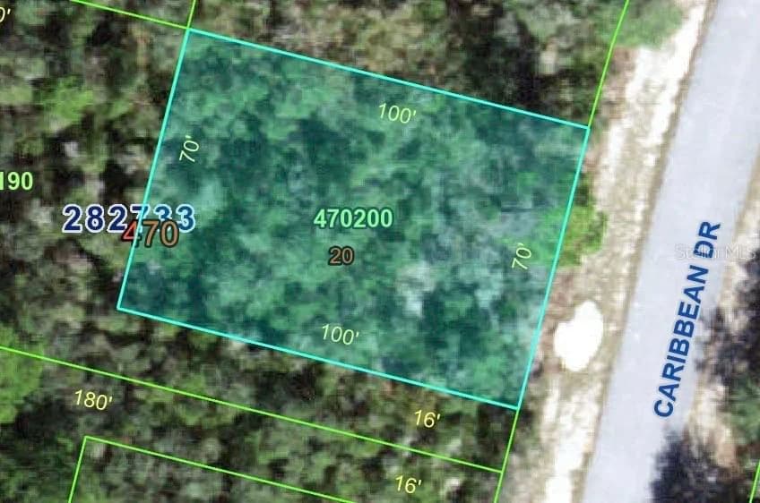 1250 CARIBBEAN, Kissimmee, FL 34759