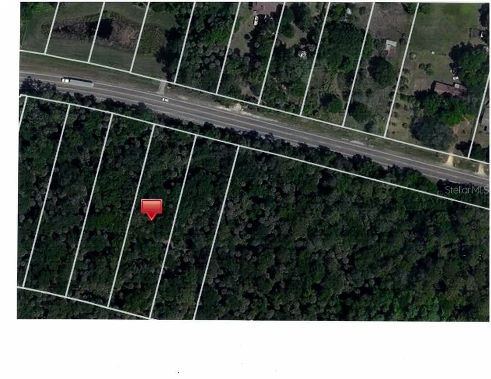 ORANGE BLOSSOM, Davenport, FL 33896