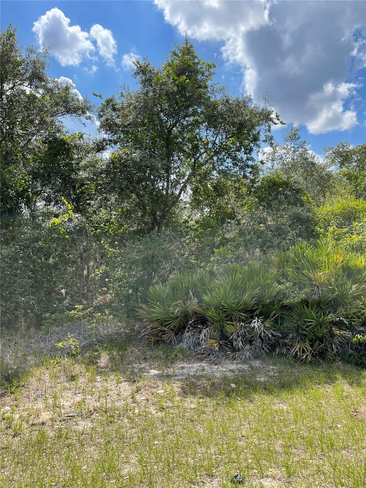 615 MEDITERRANEAN, POINCIANA, FL 34759