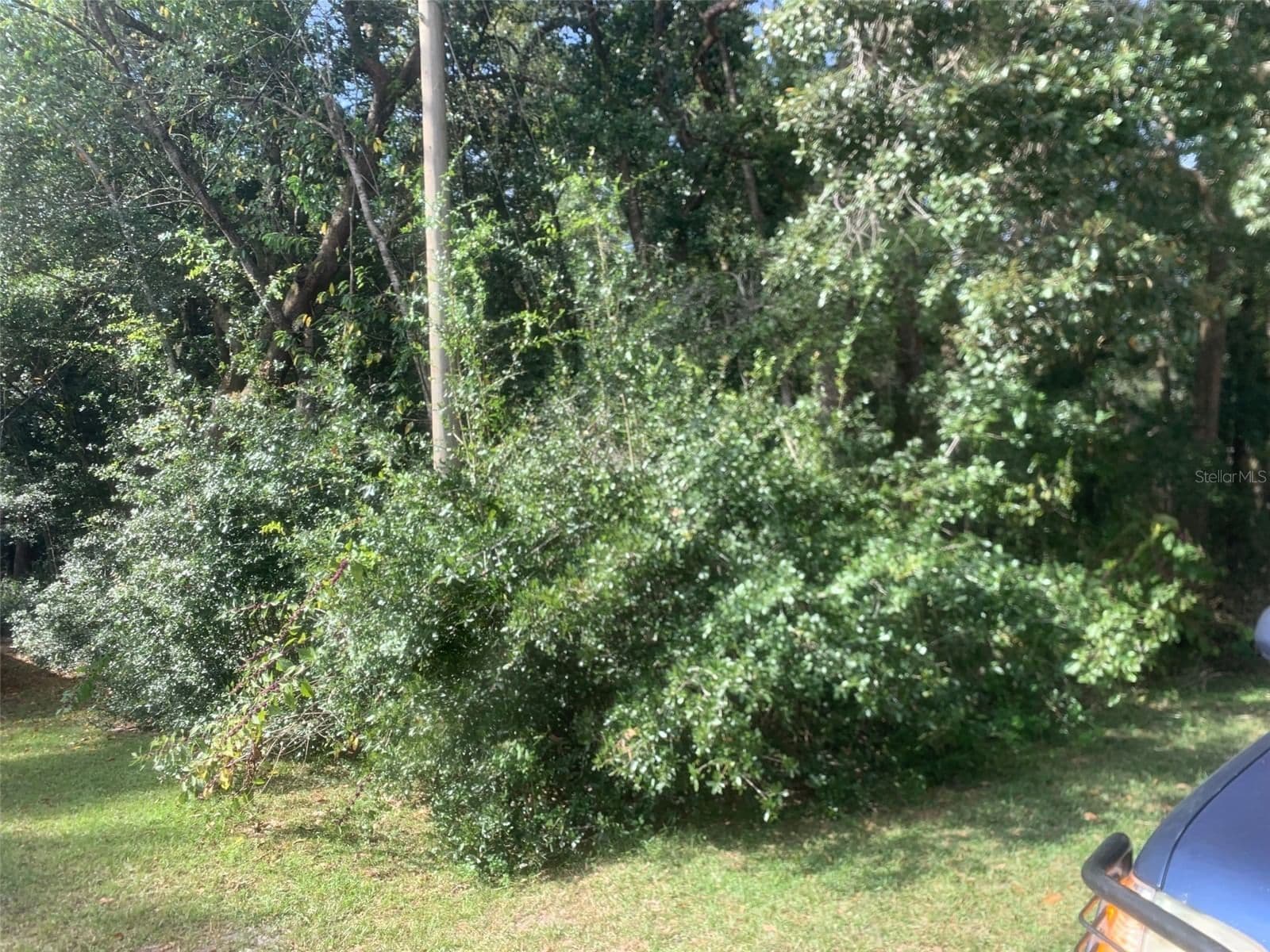 1370 HOMOSASSA Drive, Kissimmee, FL 34759