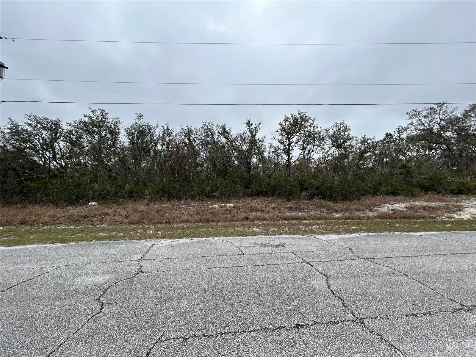509 SARASOTA Lane, Kissimmee, FL 34759