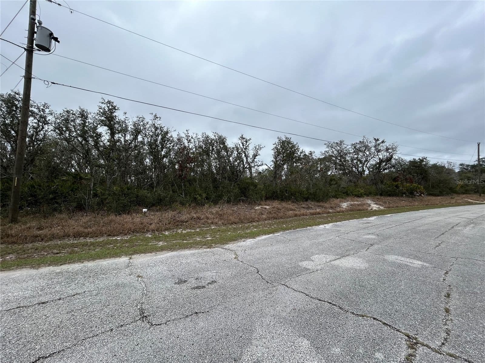 509 SARASOTA Lane, Kissimmee, FL 34759 3
