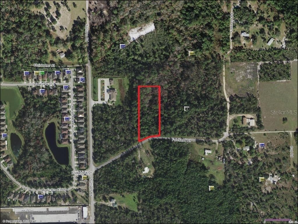 FOREHAND, Davenport, FL 33896