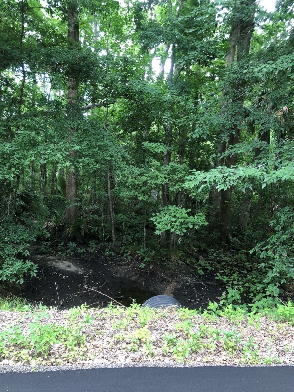 KEEFER Trail 4
