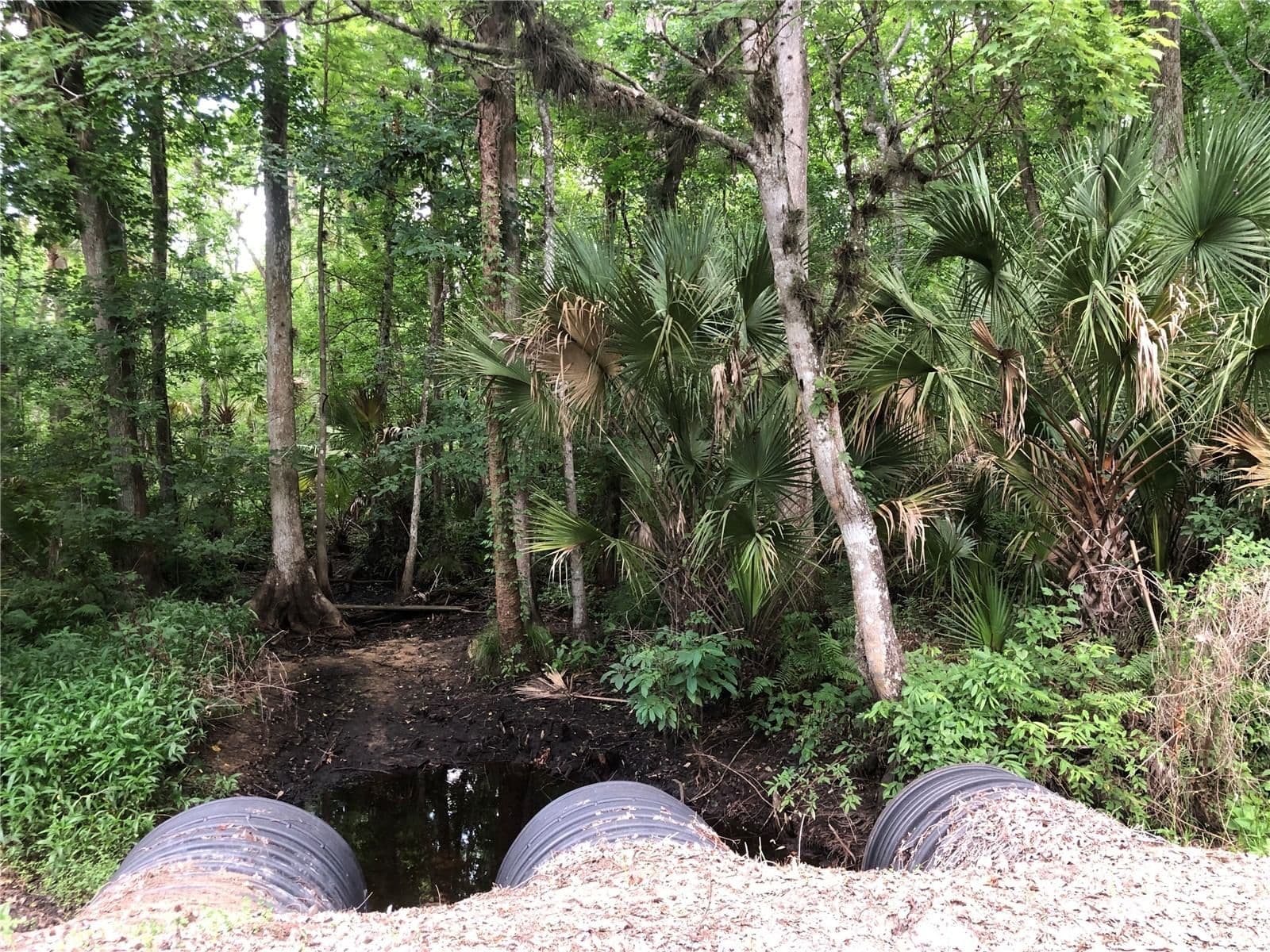 KEEFER Trail 5