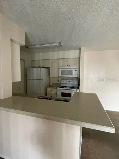 1221 BERMUDA LAKES Lane #202 4