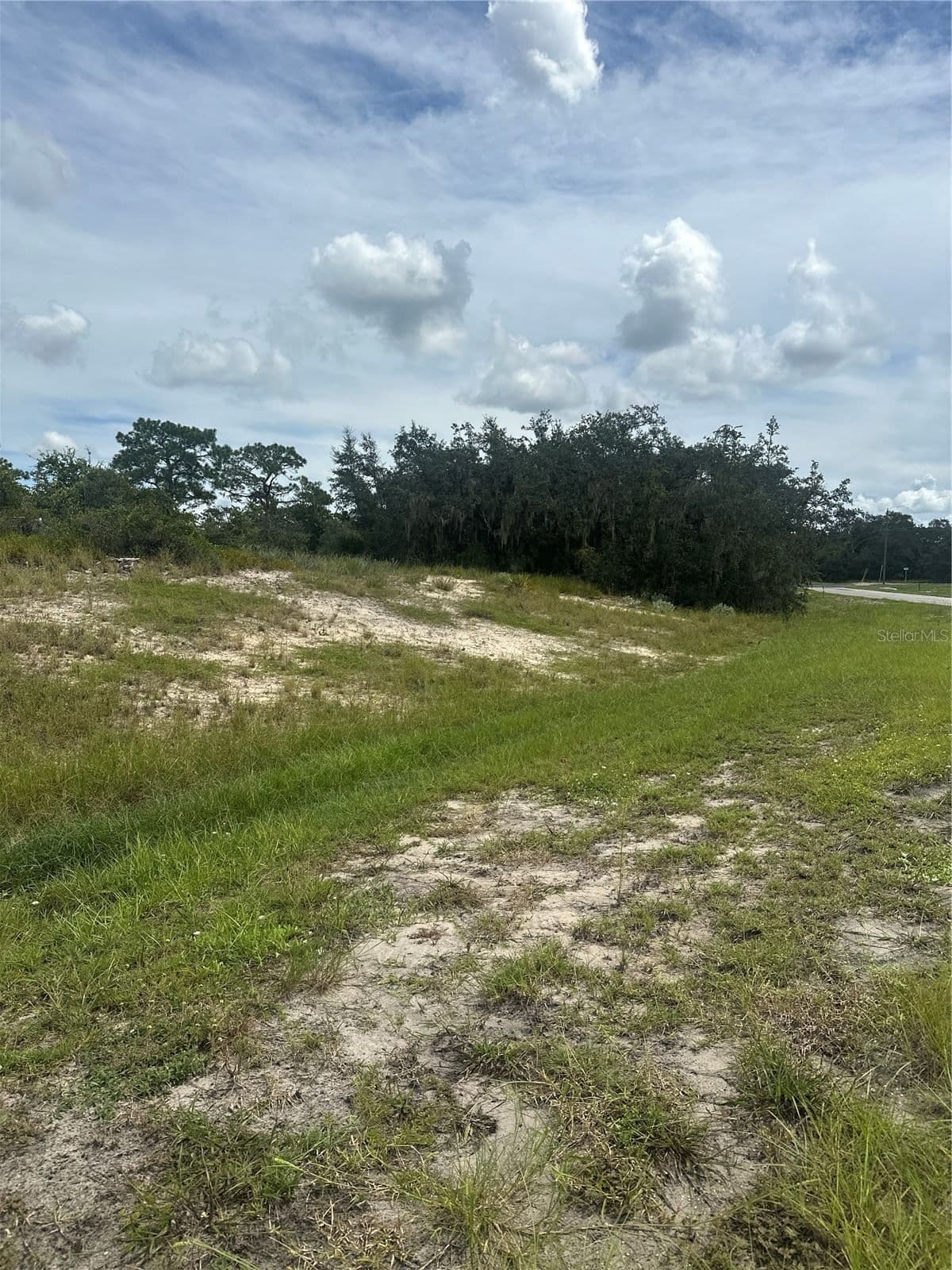 1348 HOMOSASSA Court 4