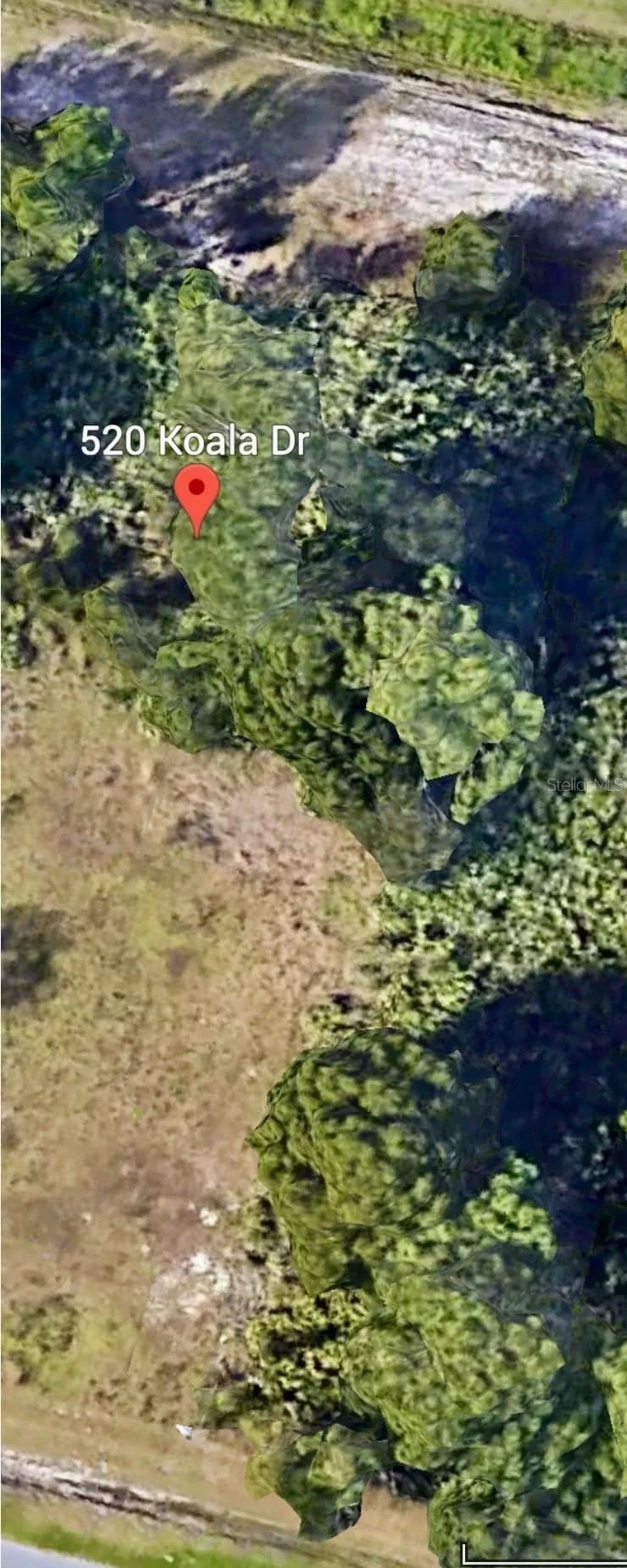 520 KOALA, Kissimmee, FL 34759 2
