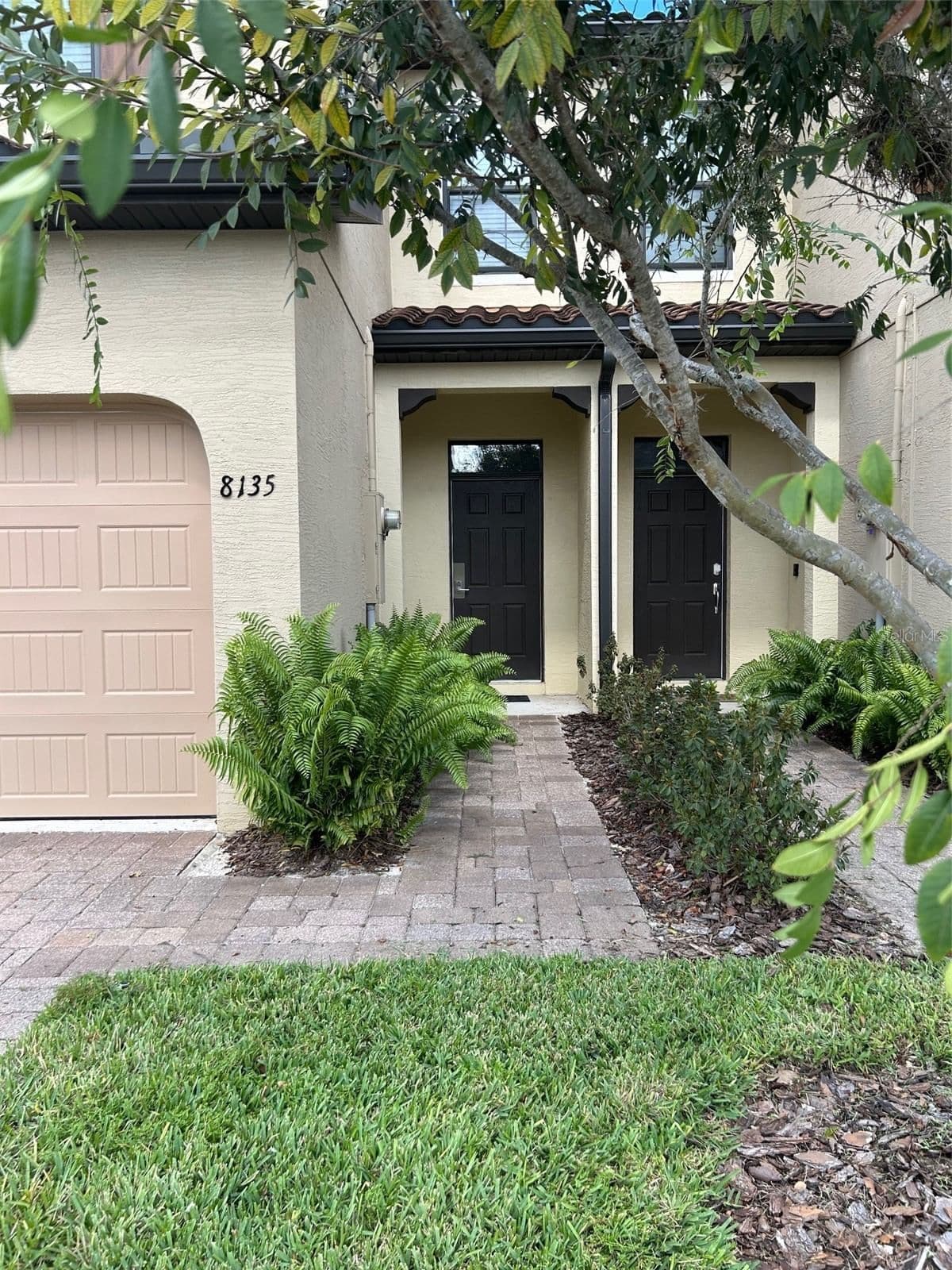 8135 ROSEVILLE 3