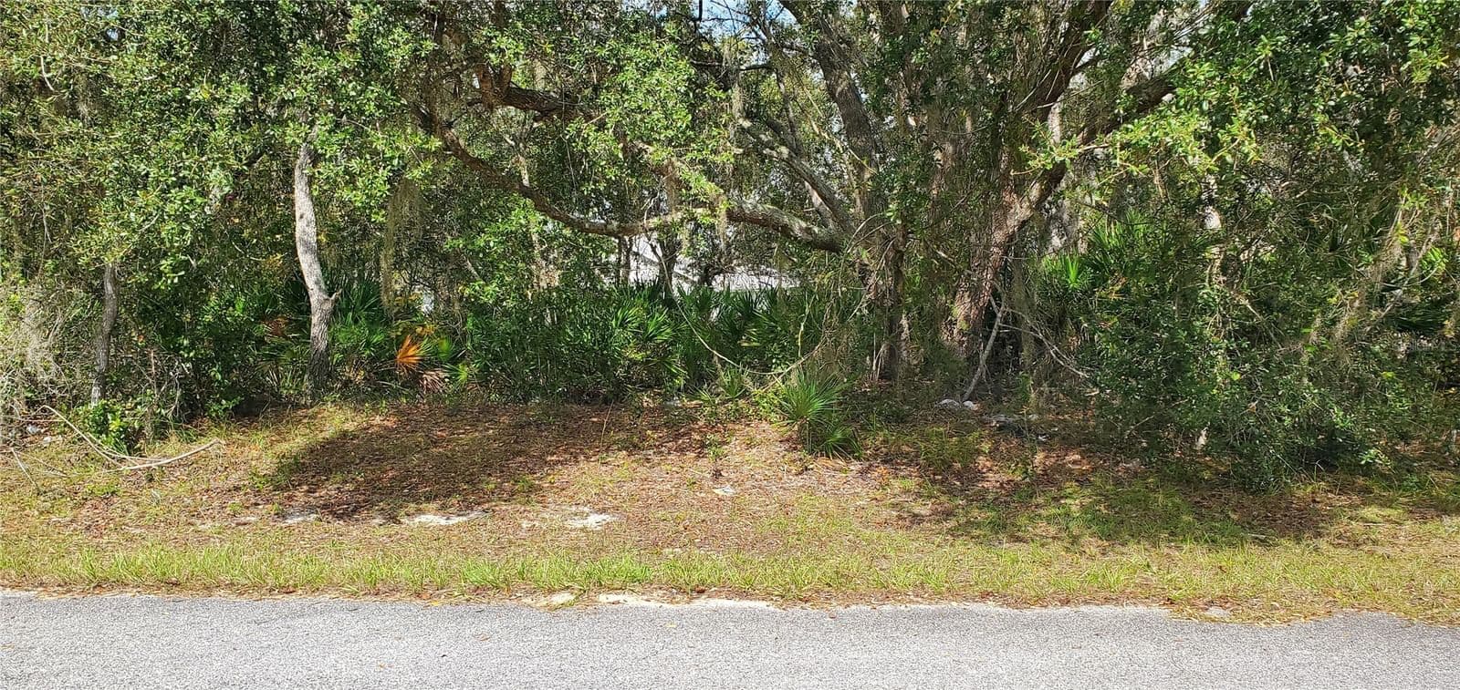 1227 ALAFIA, Kissimmee, FL 34759