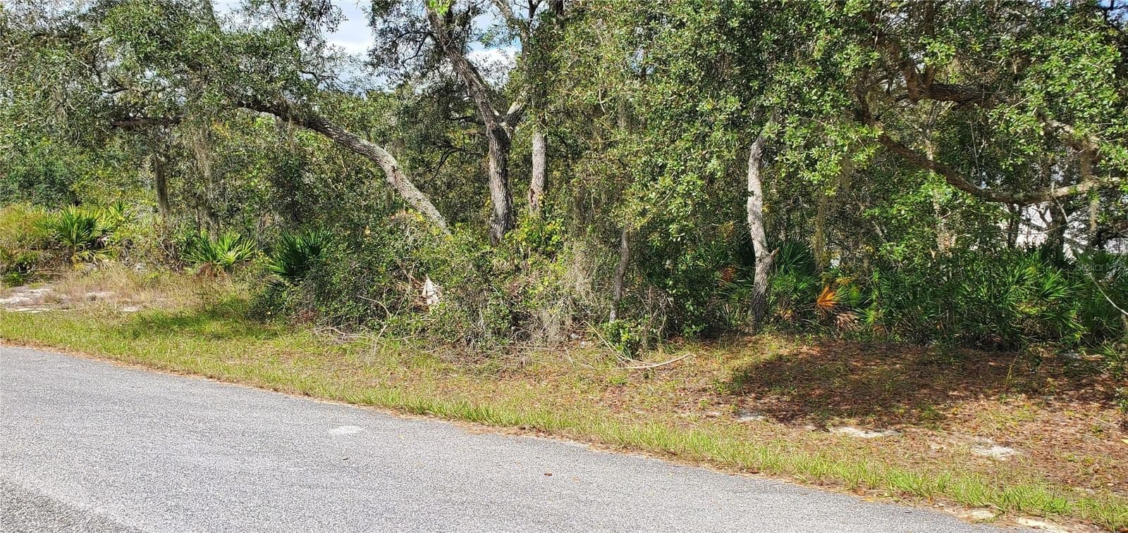 1227 ALAFIA, Kissimmee, FL 34759 3