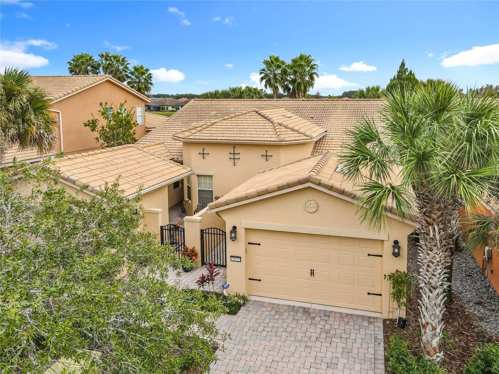 2472 PALM TREE 5