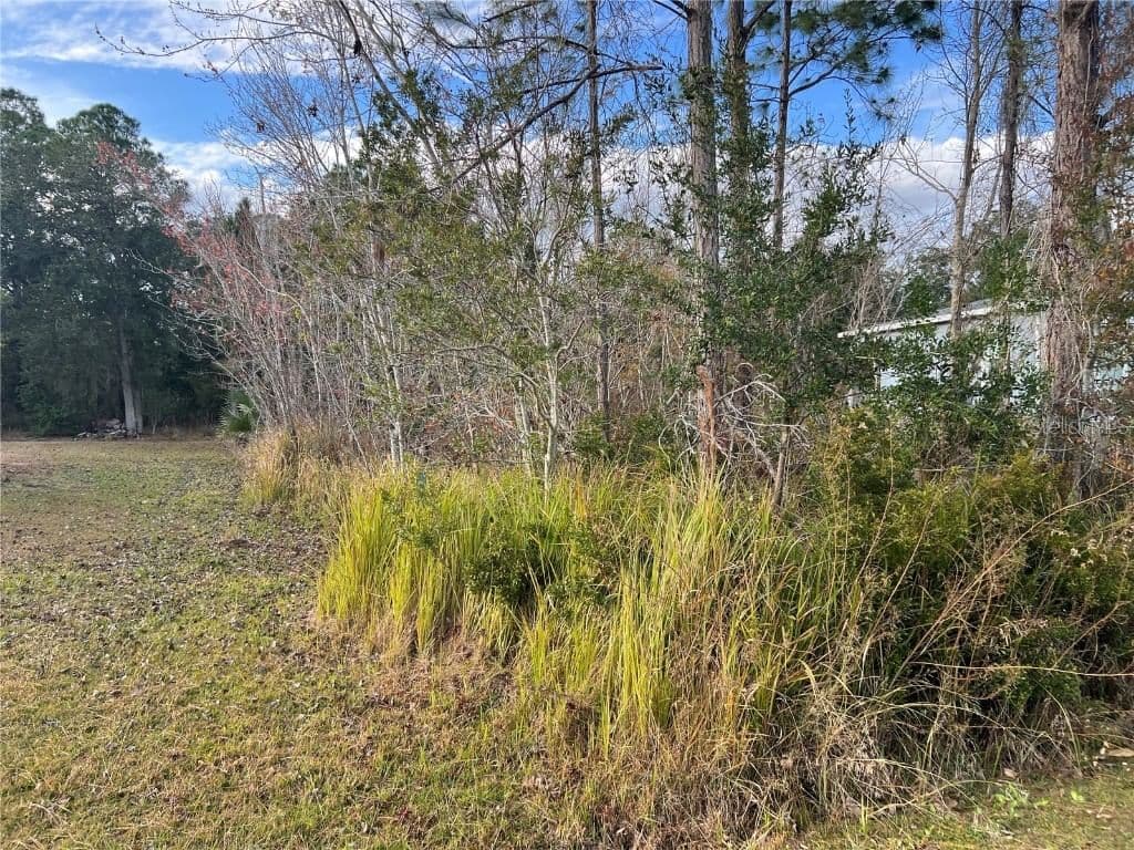 1425 TEAL, Kissimmee, FL 34759