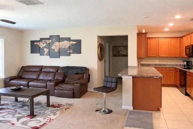 418 BLUE LAKE, Kissimmee, FL 34758 3
