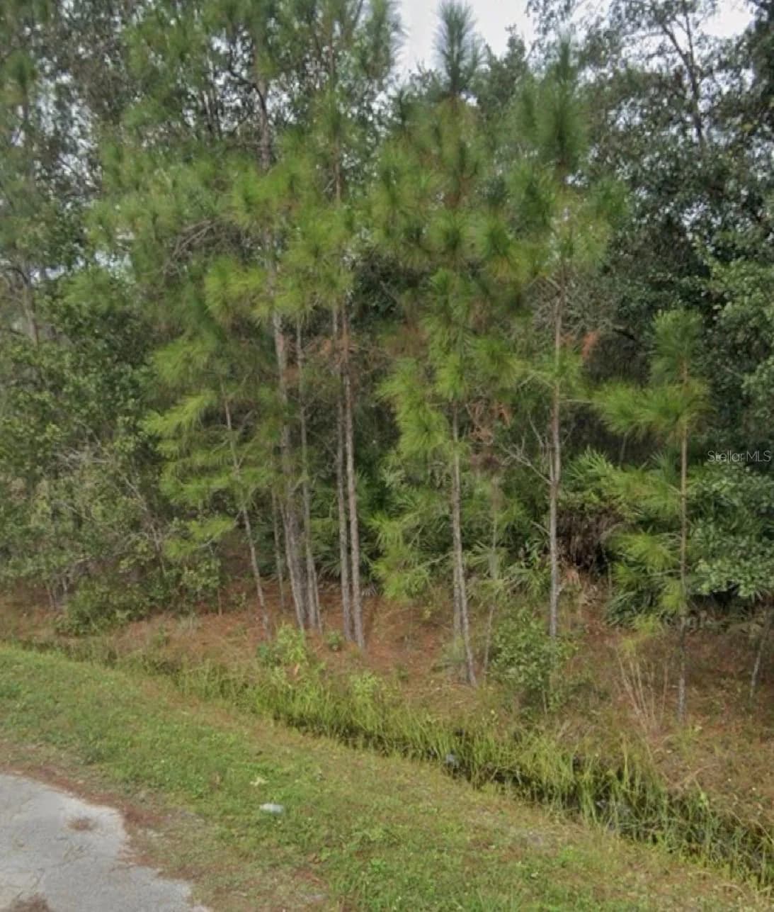 1437 TERN, Poinciana, FL 34759
