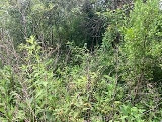 SWEETWATER, Kissimmee, FL 34747