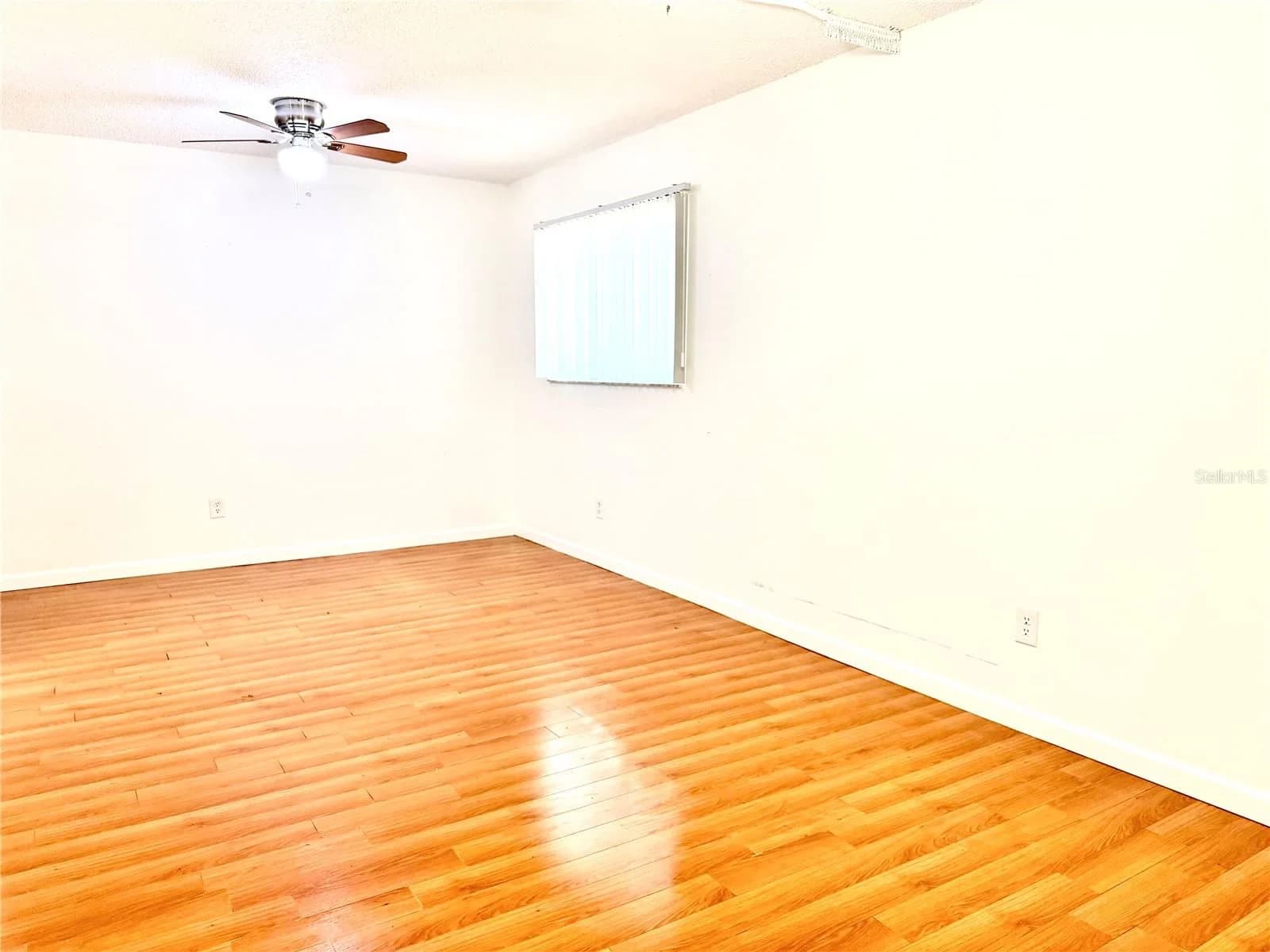 3349 SASSAFRAS 4
