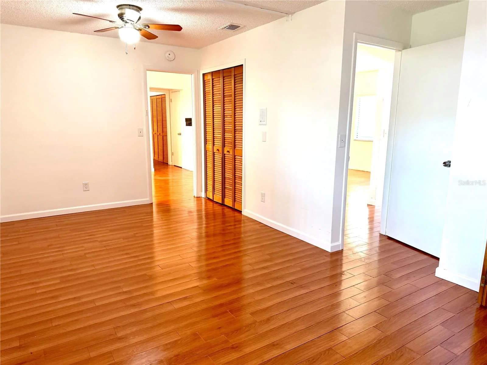 3349 SASSAFRAS 5