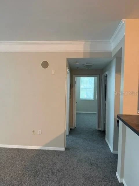 3250 CORONA VILLAGE, Orlando, FL 32835 2