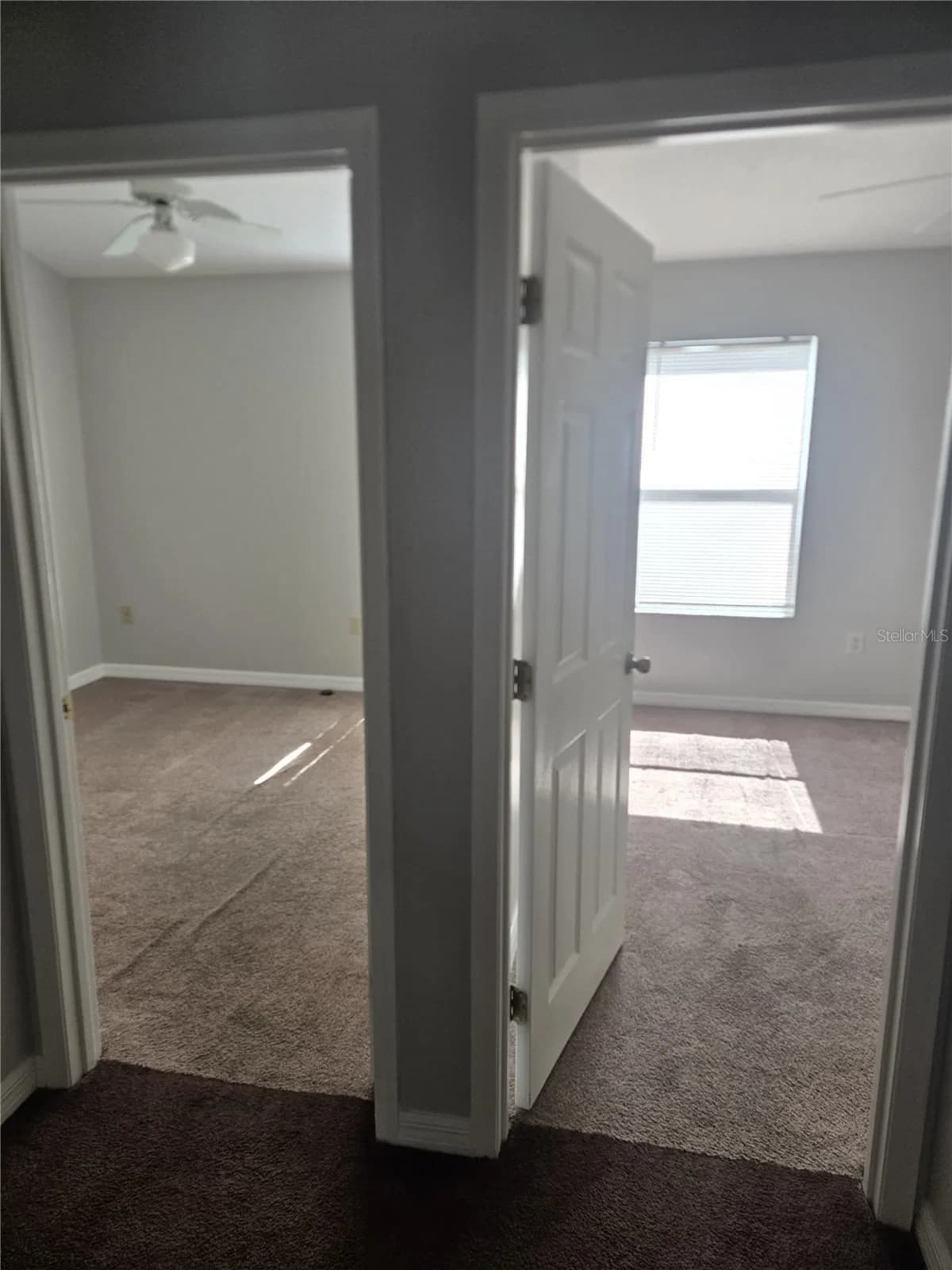 718 FLORIDA PALMS 3