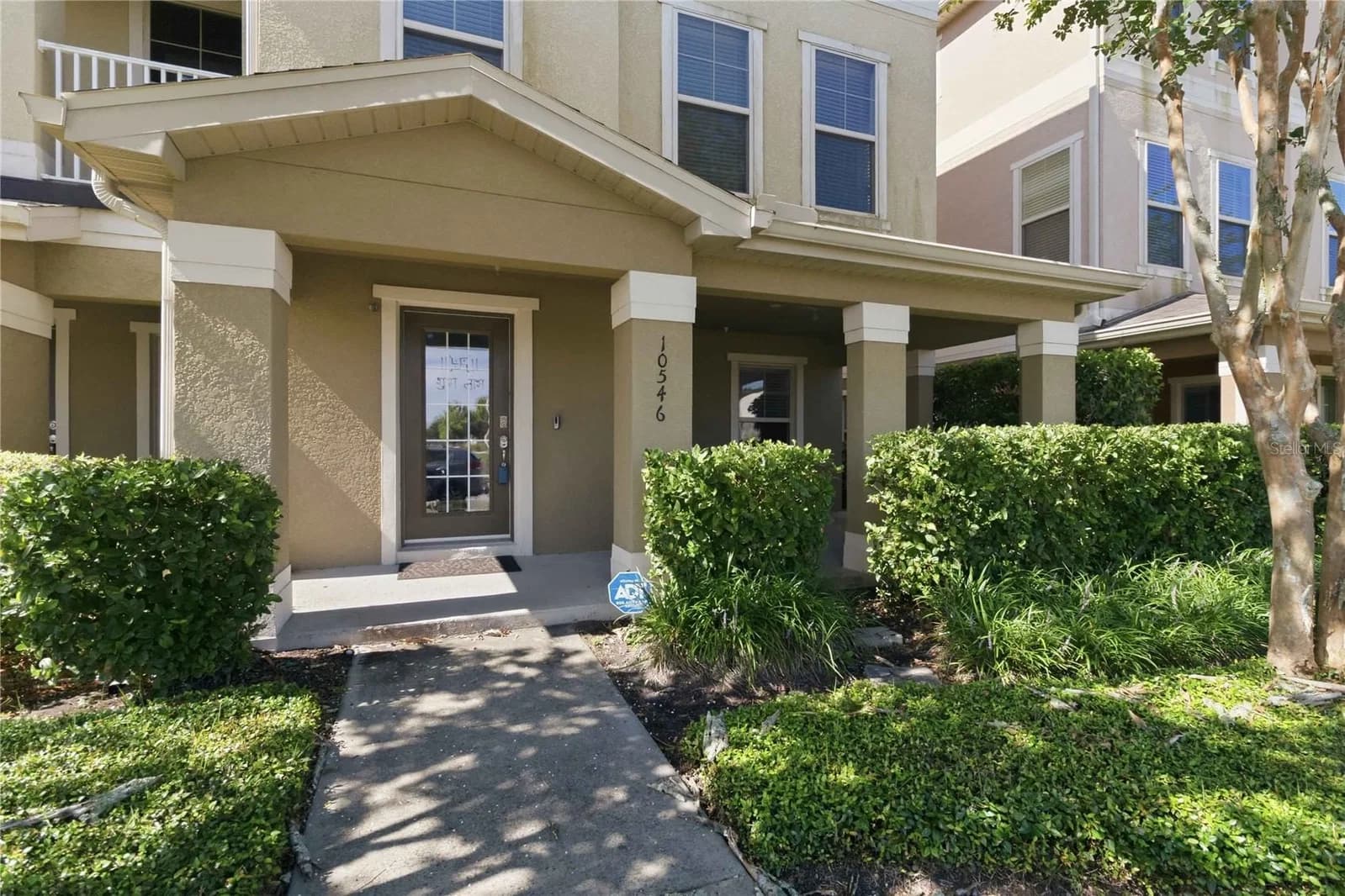 10546 GREEN IVY 4