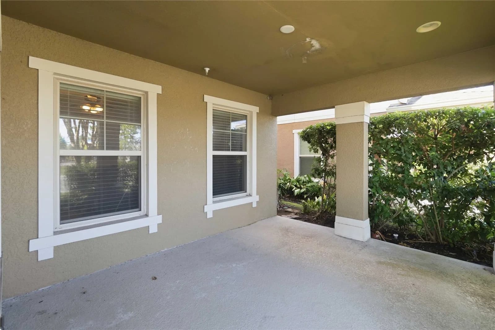 10546 GREEN IVY 5