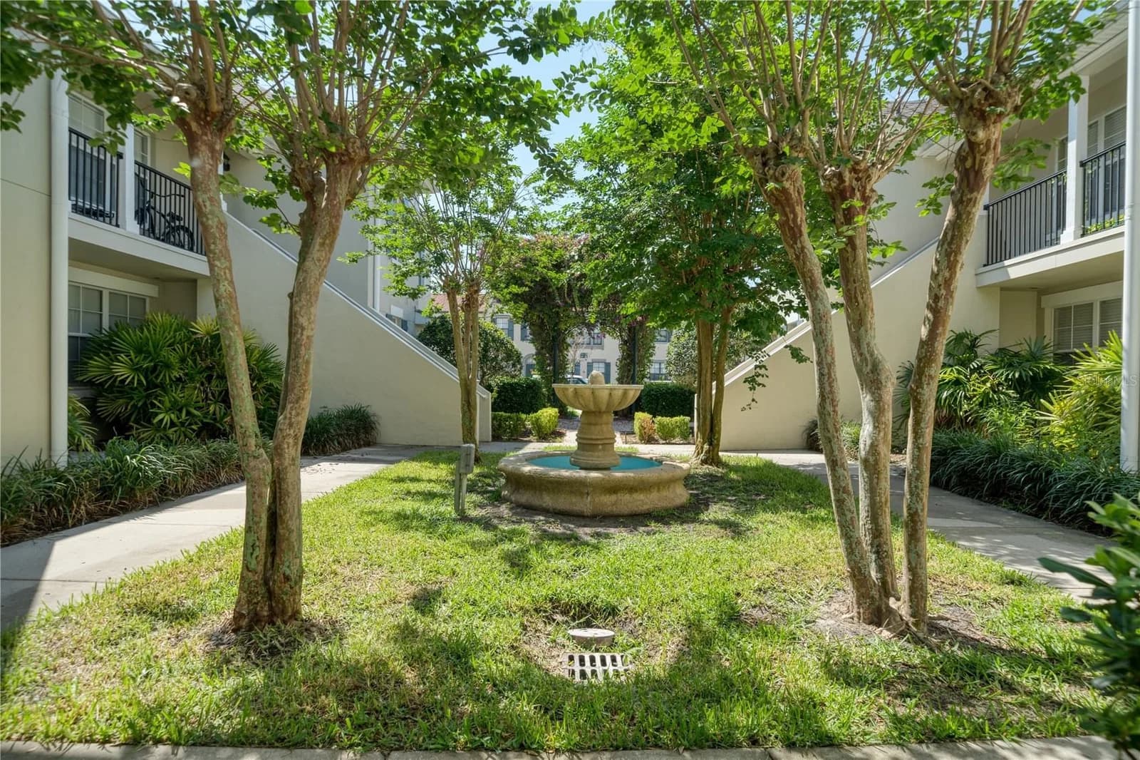 714 SIENA PALM 2