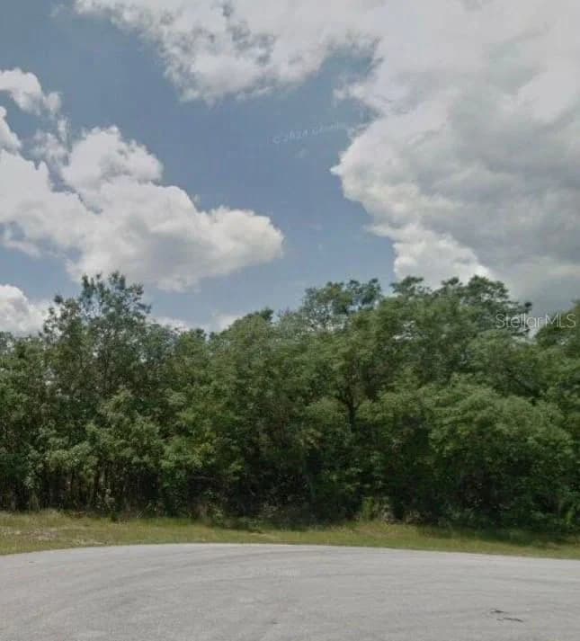 204 KINGFISH, Poinciana, FL 34759
