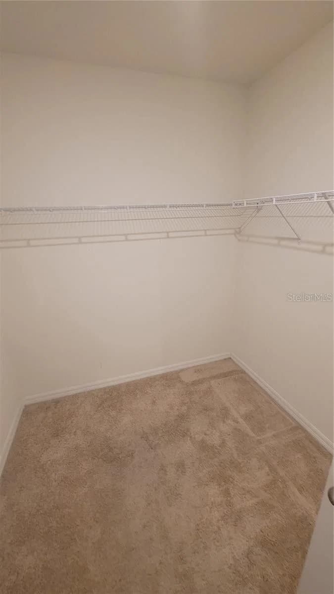 1128 FOX PATH 4