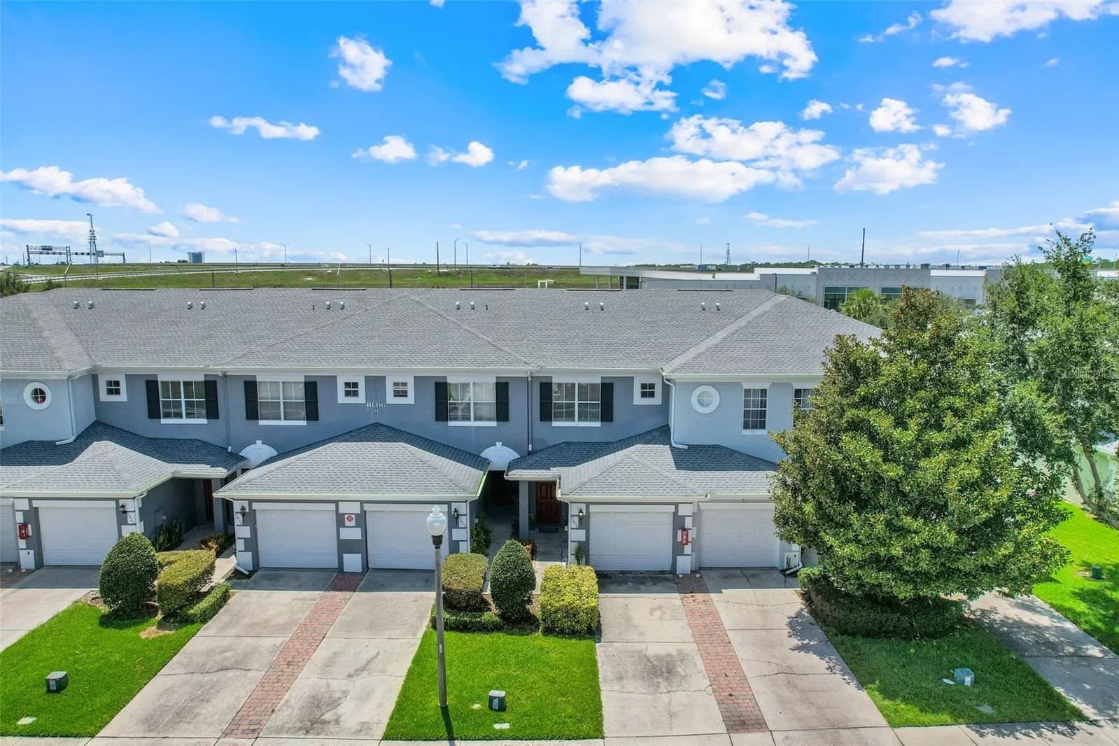 9408 FLOWERING COTTONWOOD 4