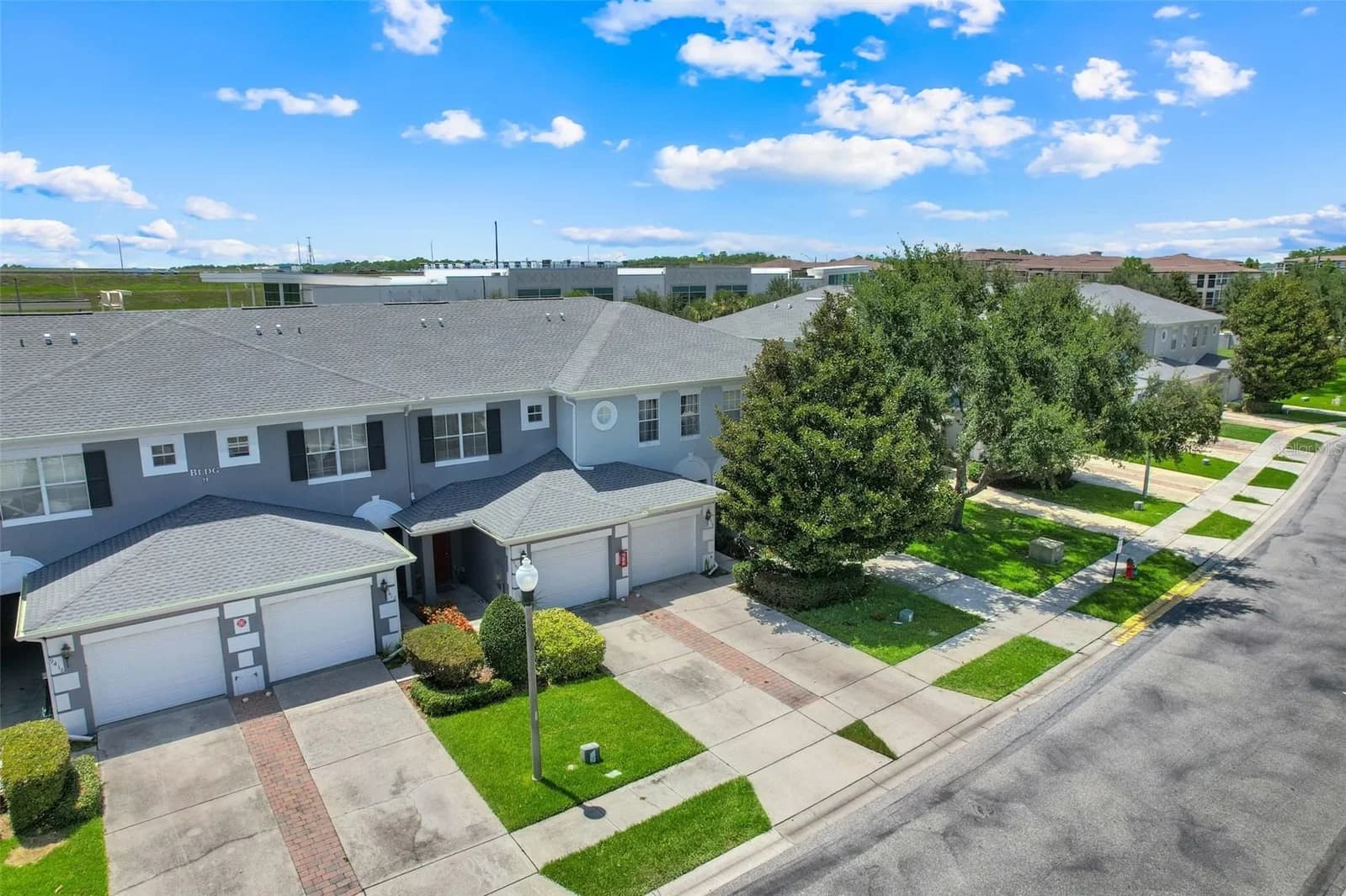 9408 FLOWERING COTTONWOOD 5