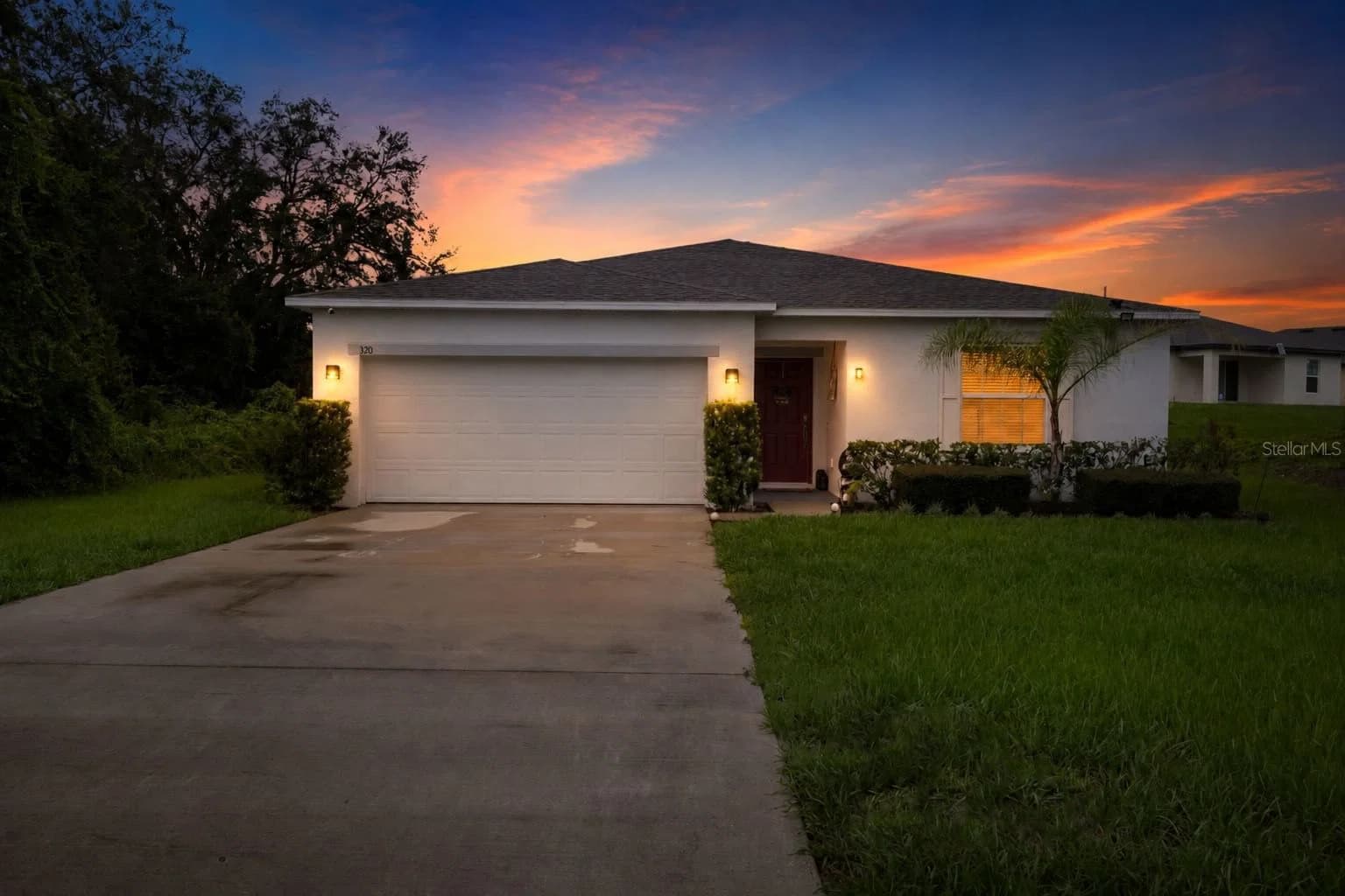 Poinciana 3