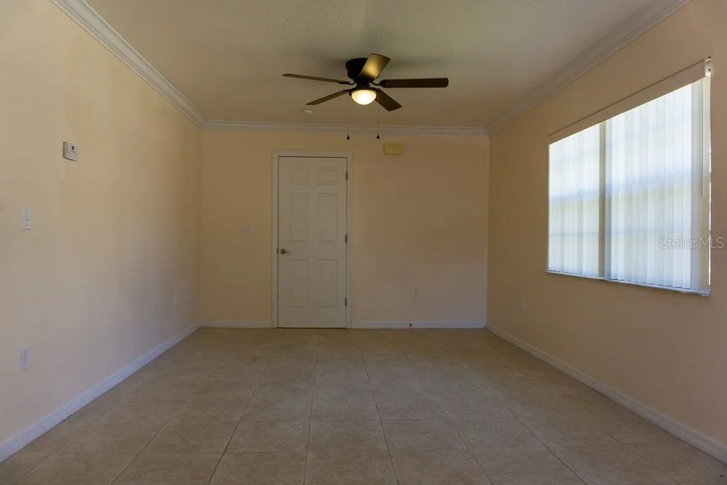 2204 FAN PALM 3