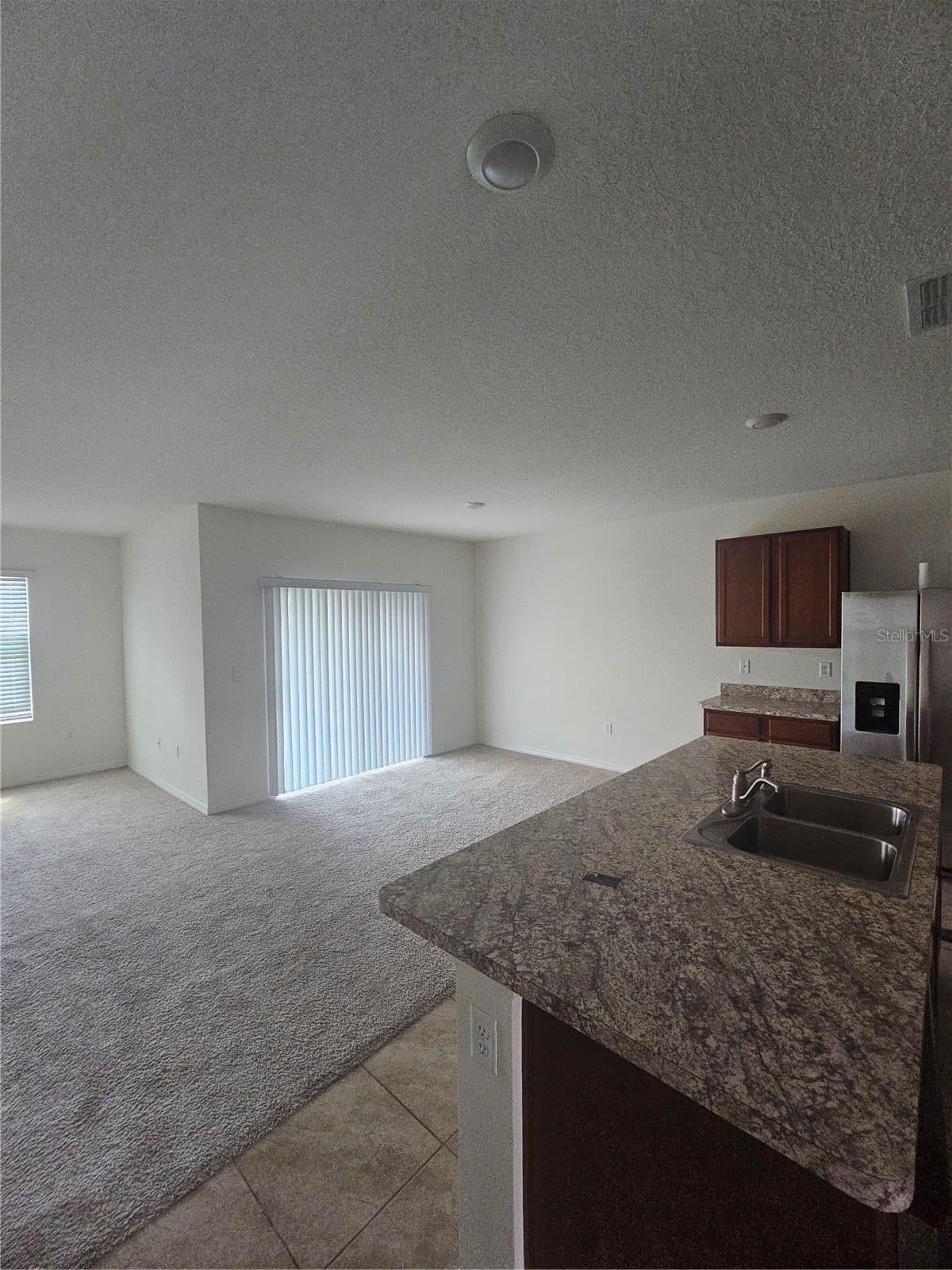 1504 FOX SQUIRREL 5