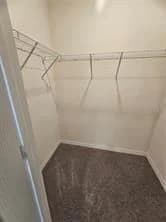 1223 DRAINTREE 5