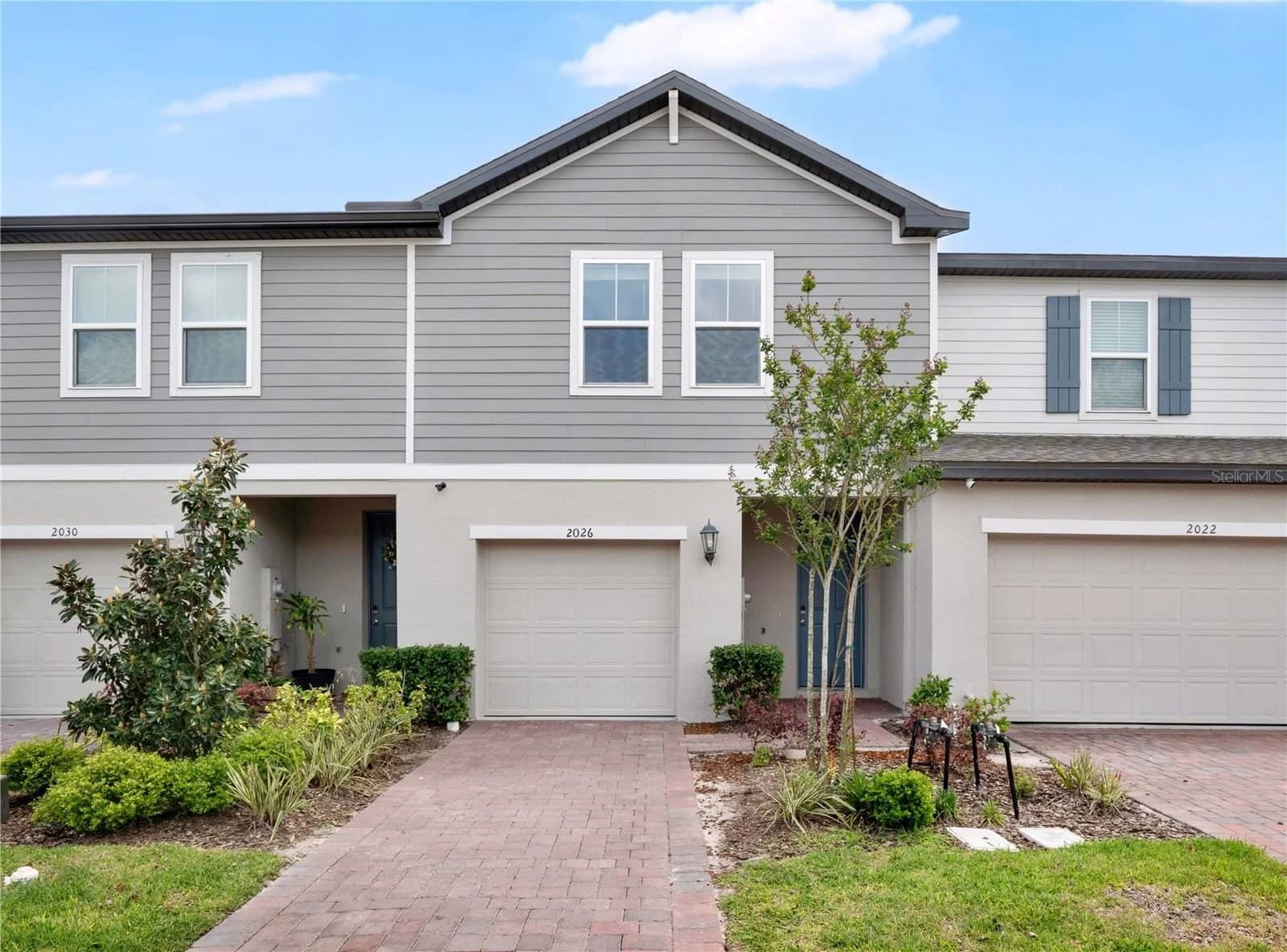 2026 CRAPE JASMINE, Orlando, FL 32824