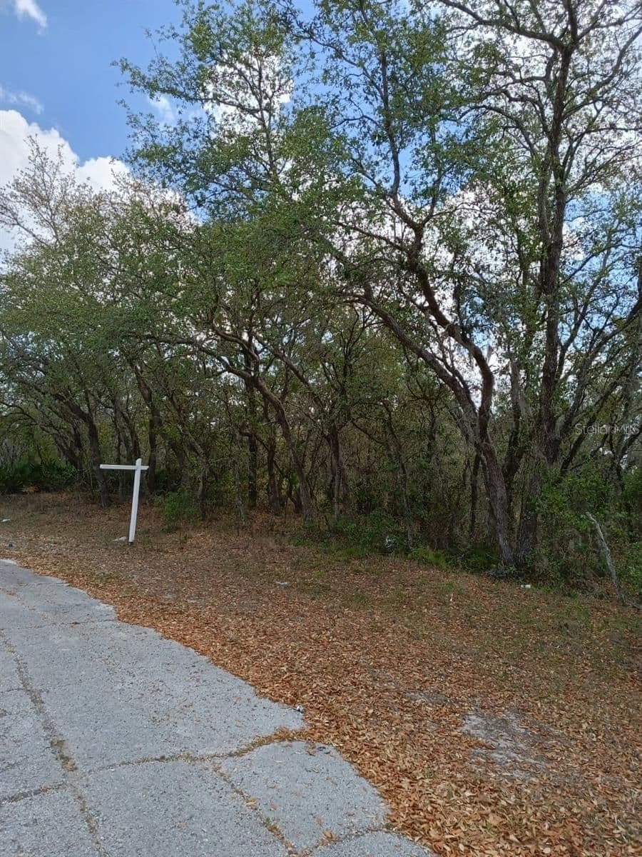 429 NAPLES, Kissimmee, FL 34759