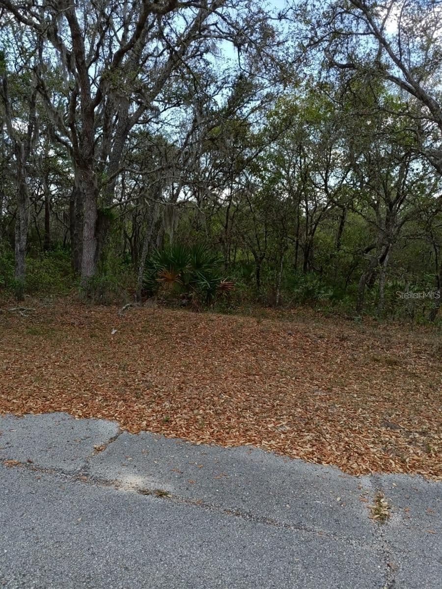 429 NAPLES 2