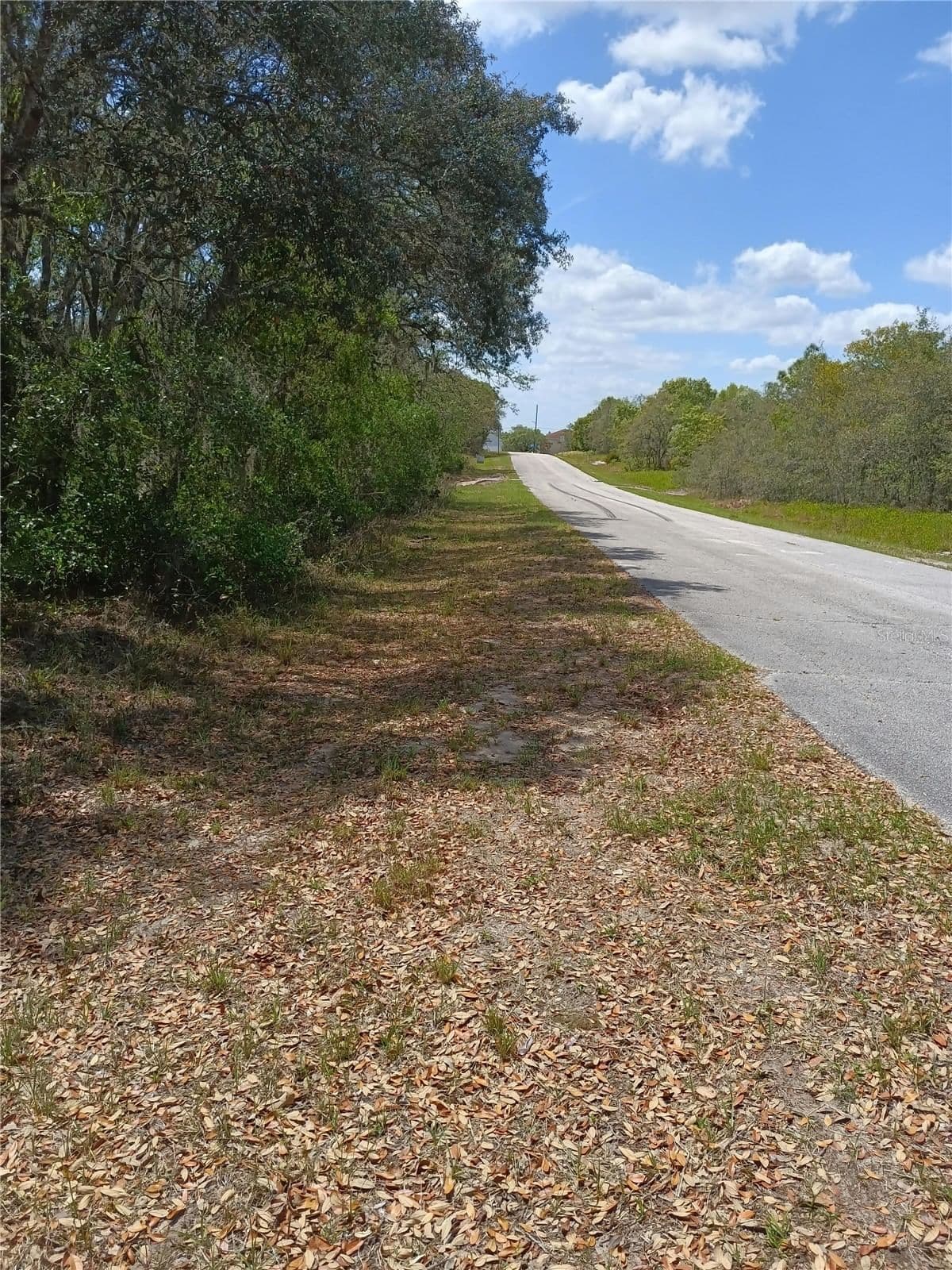 429 NAPLES 5