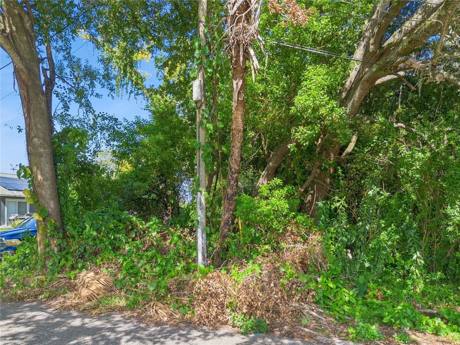 9149 AVENUE A 4