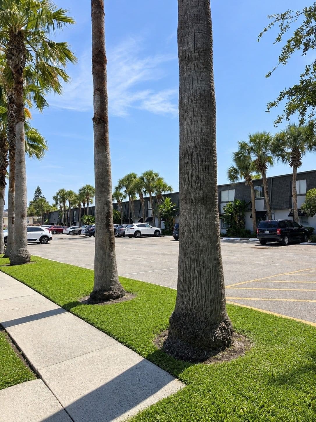 1916 CONWAY Road #6, Orlando, FL 32812 3