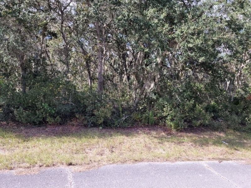 1244 CARIBBEAN, Poinciana, FL 34759