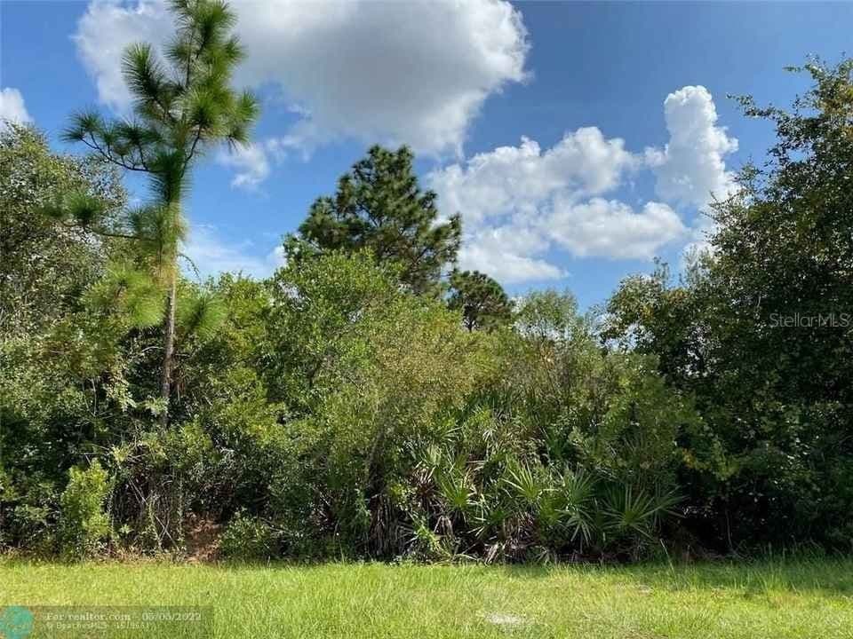MANATEE Way, Kissimmee, FL 34759 3