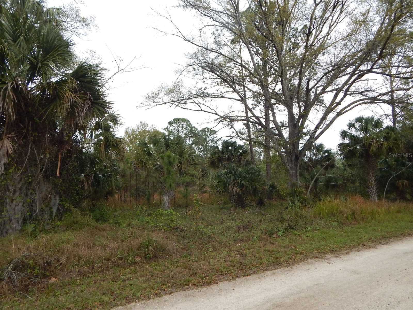 0 ROBIN Trail, Kissimmee, FL 34747 2