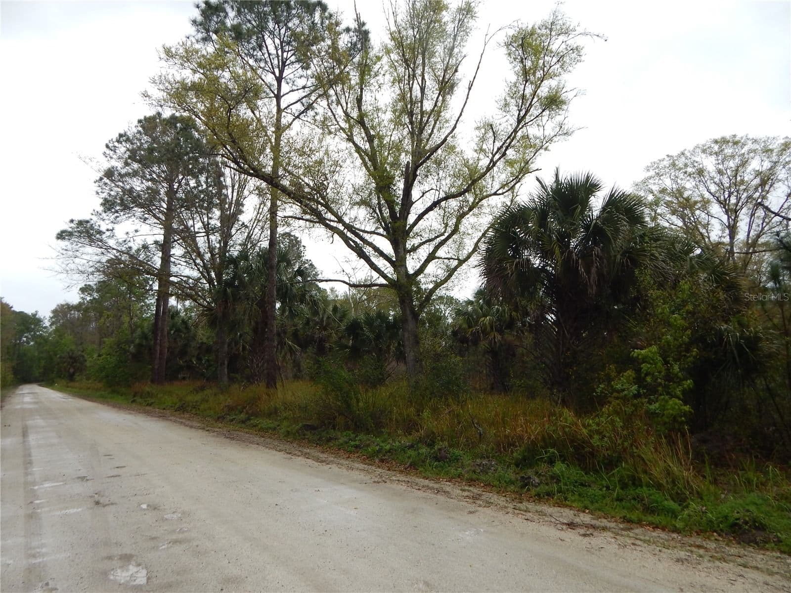 0 ROBIN Trail, Kissimmee, FL 34747 3