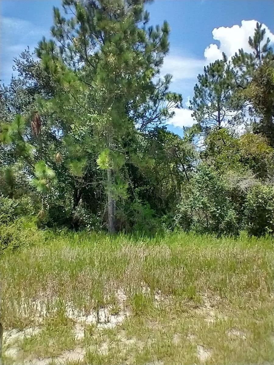 1322 TALLAHASSEE, Kissimmee, FL 34759