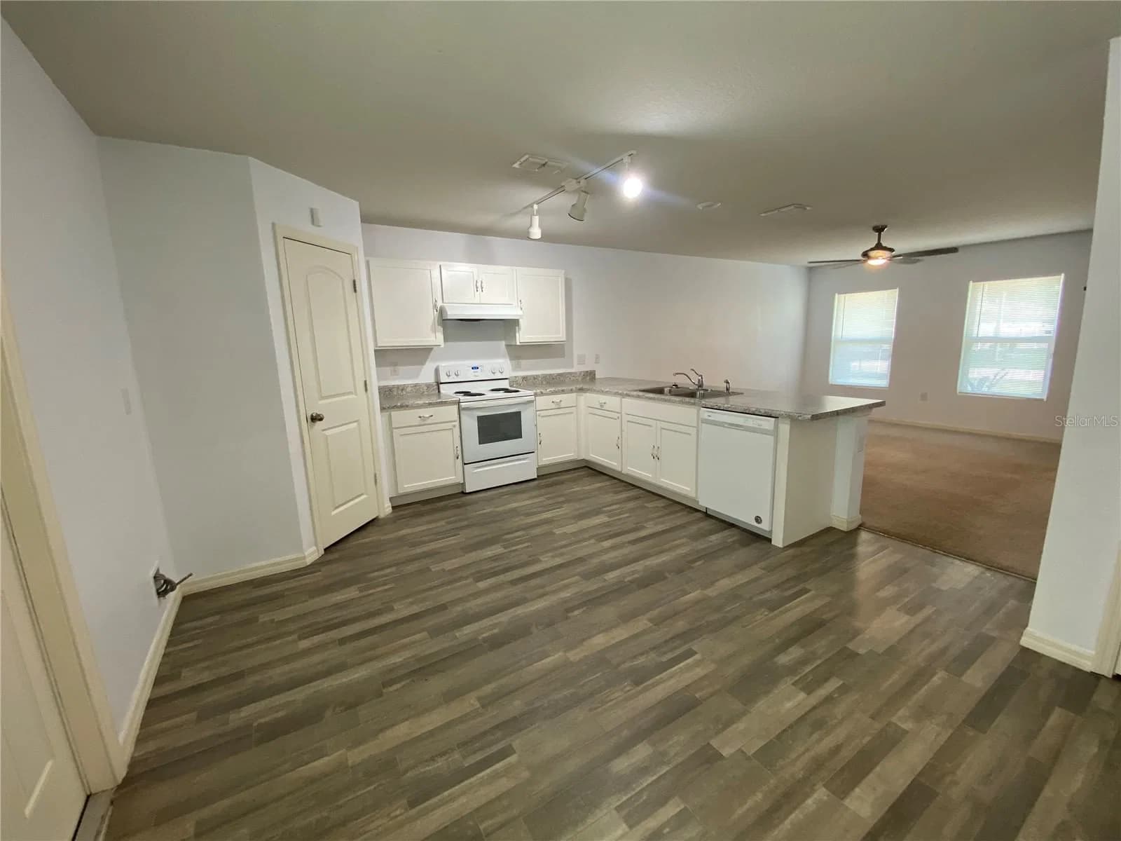 204 GLADIOLA 5